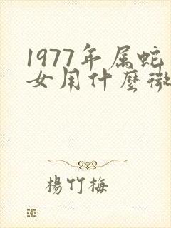 1977年属蛇女用什么微信头像财运好