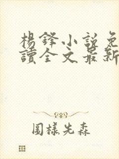 杨锋小说免费阅读全文最新章节