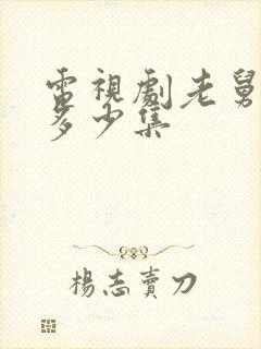 电视剧老舅一共多少集