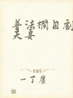 普法栏目剧危情夫妻