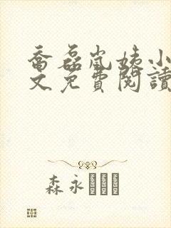 乔磊岚姨小说全文免费阅读