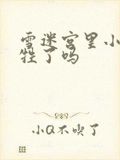 雪迷宫里小光牺牲了吗