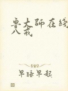 鲁大师在线八戒八戒