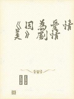 《因为爱情有多美》剧情