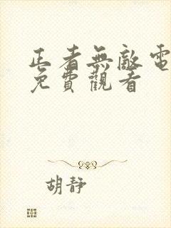 正者无敌电视剧免费观看封面