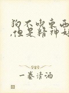 狗不吃东西呕吐,但是精神好封面