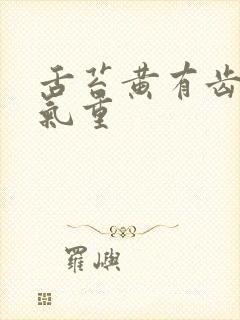 舌苔黄有齿痕湿气重