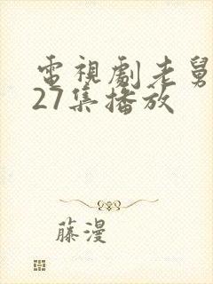 电视剧老舅在线27集播放