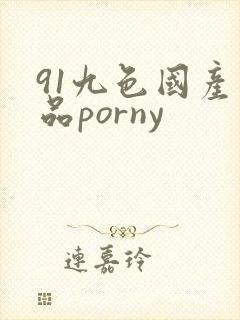 91九色国产精品porny