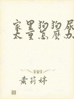 家里狗狗尿骚味太重怎么办