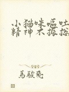 小猫咪呕吐黄水精神不振总趴着