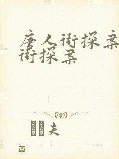 唐人街探案唐人街探案