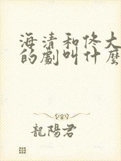 海清和佟大为演的剧叫什么