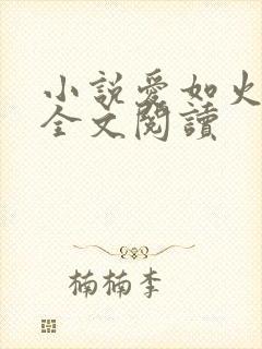 小说爱如火芳姨全文阅读
