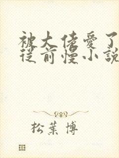 被大佬爱了by从前慢小说阅读