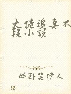 大佬追妻不择手段小说