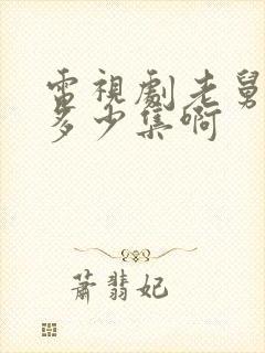 电视剧老舅一共多少集啊