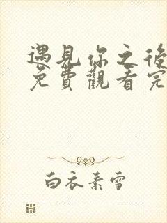 遇见你之后短剧免费观看完整版