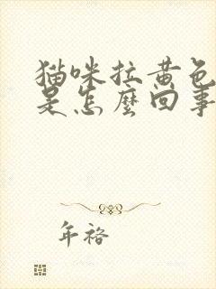 猫咪拉黄色稀便是怎么回事封面