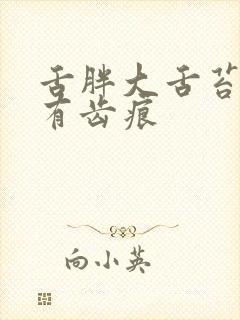 舌胖大舌苔厚黄有齿痕封面