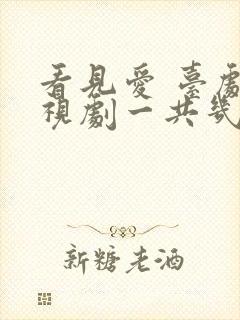 看见爱 台剧电视剧一共几集啊