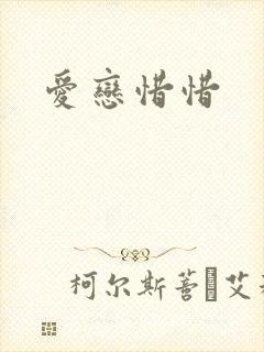 爱恋惜惜封面