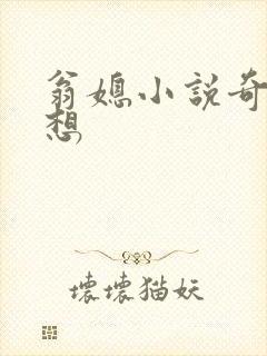 翁媳小说奇思妙想封面