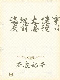 满级大佬穿成炮灰前妻后 小说封面