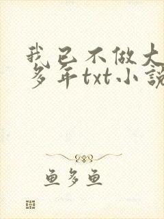 我已不做大佬好多年txt小说封面