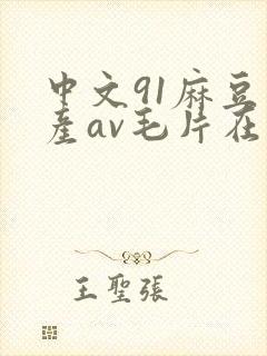 中文91麻豆国产av毛片在线