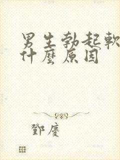 男生勃起软的快什么原因