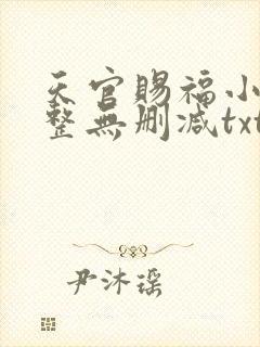 天官赐福小说完整无删减txt下载