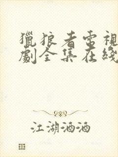 猎狼者电视连续剧全集在线观看