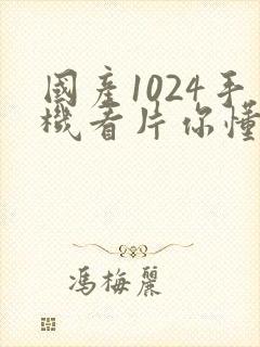 国产1024手机看片你懂的封面