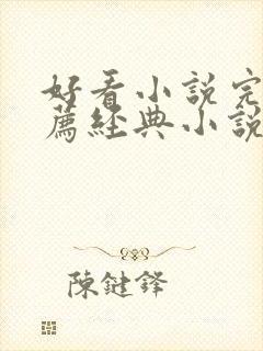 好看小说完结推荐经典小说