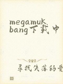 megamukbang下载中文版