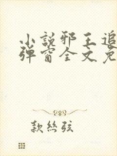 小说邪王追妻无弹窗全文免费阅读