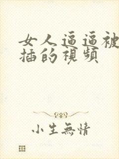 女人逼逼被男人插的视频