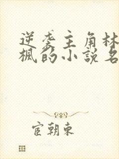 逆袭主角林易叶枫的小说名叫什么