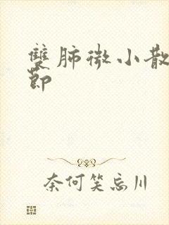 双肺微小散在结节