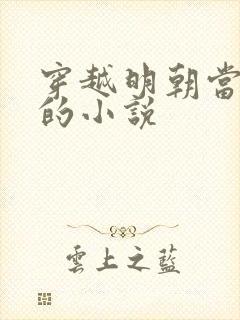 穿越明朝当崇祯的小说