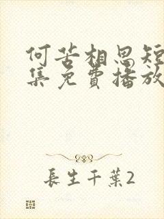 何苦相思短剧全集免费播放在线观看