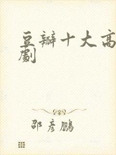 豆瓣十大高分网剧