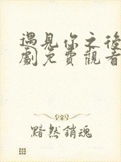 遇见你之后电视剧免费观看全集