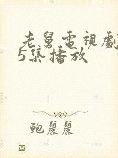 老舅电视剧第25集播放