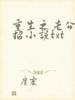 重生之老公请接招小说txt