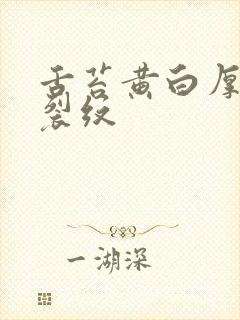 舌苔黄白厚腻有裂纹