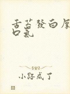 舌苔发白厚腻有口气