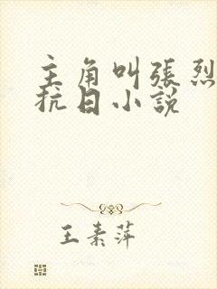 主角叫张烈阳的抗日小说