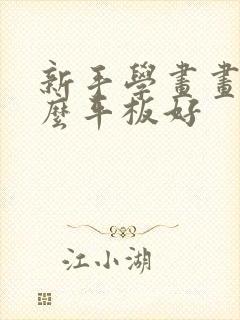 新手学画画用什么平板好